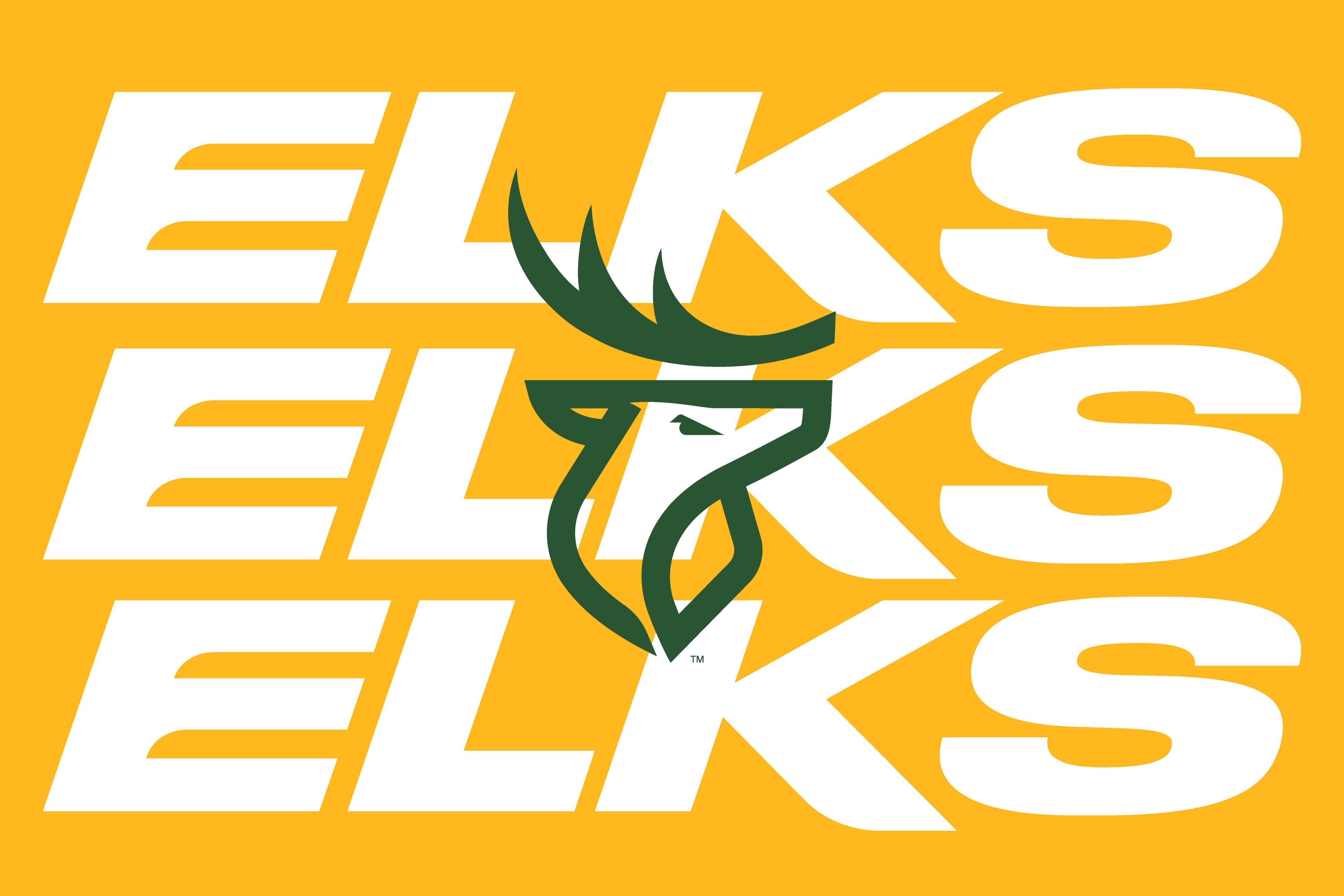 Edmonton Elks logo with green antlers overlaid on bold white 'ELKS' text on a yellow background