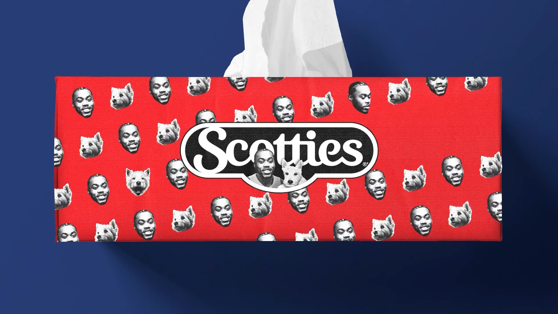 Scotties x Scotties hero image